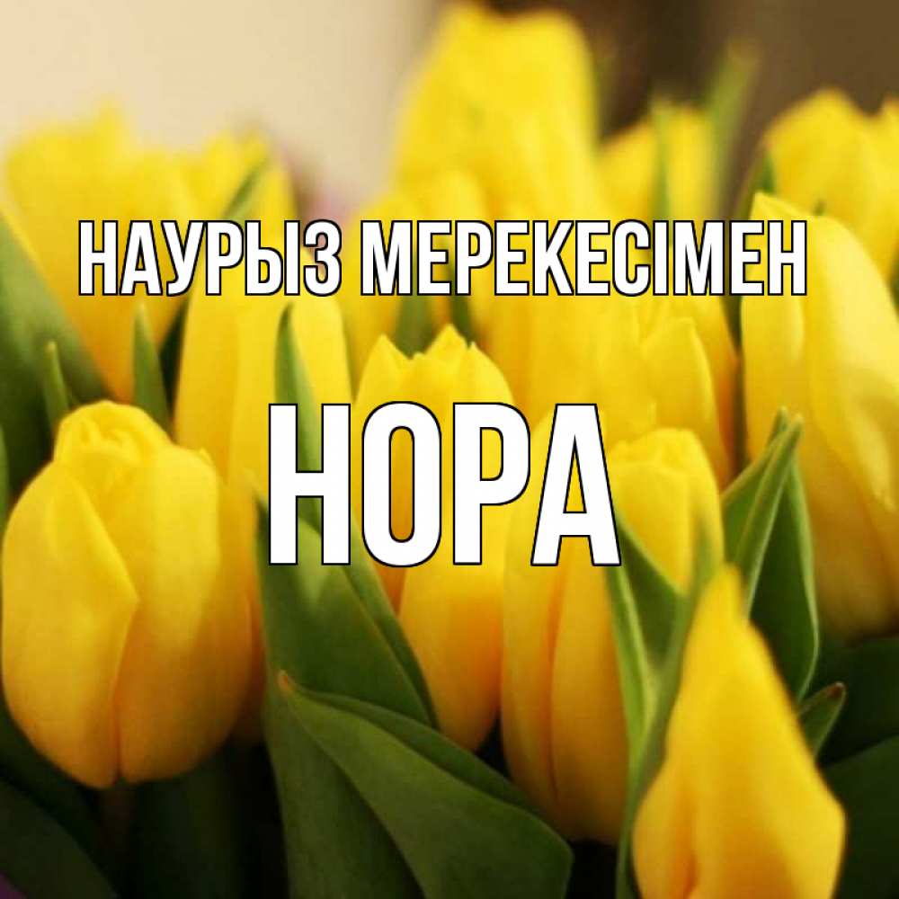 Күн сайын ашық хат с именем, Нора Наурыз мерекесімен цветы Онлайн тегін жүктеп алу тілектері бар керемет карта 