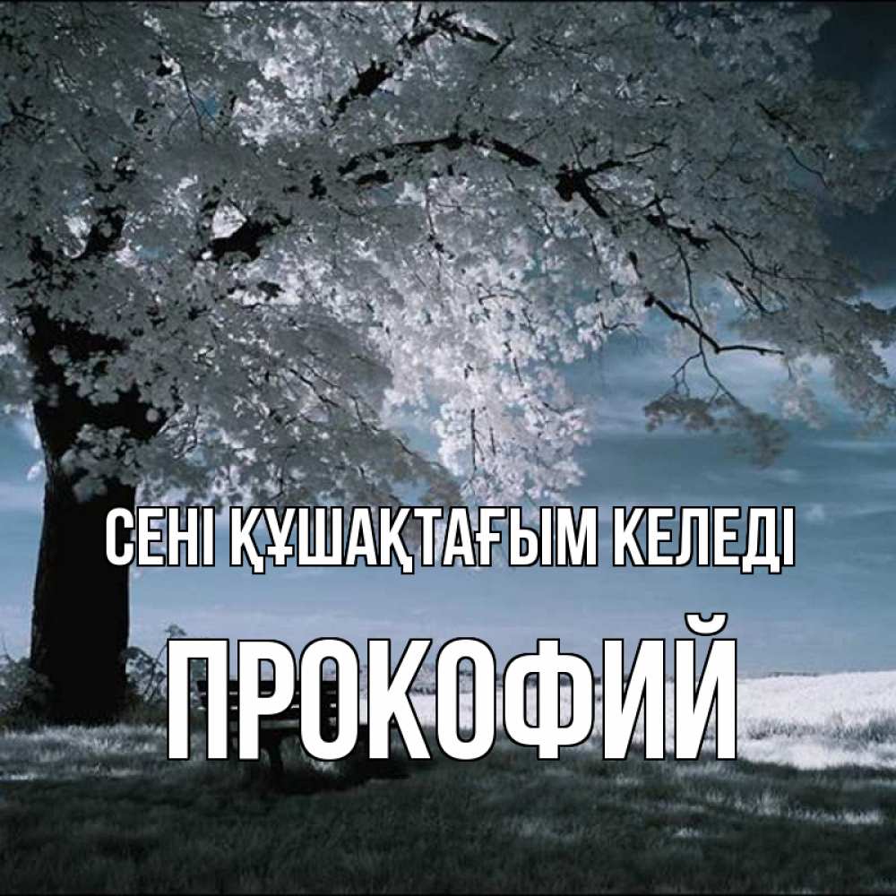Күн сайын ашық хат с именем, Прокофий сені құшақтағым келеді дерево Онлайн тегін жүктеп алу тілектері бар керемет карта 
