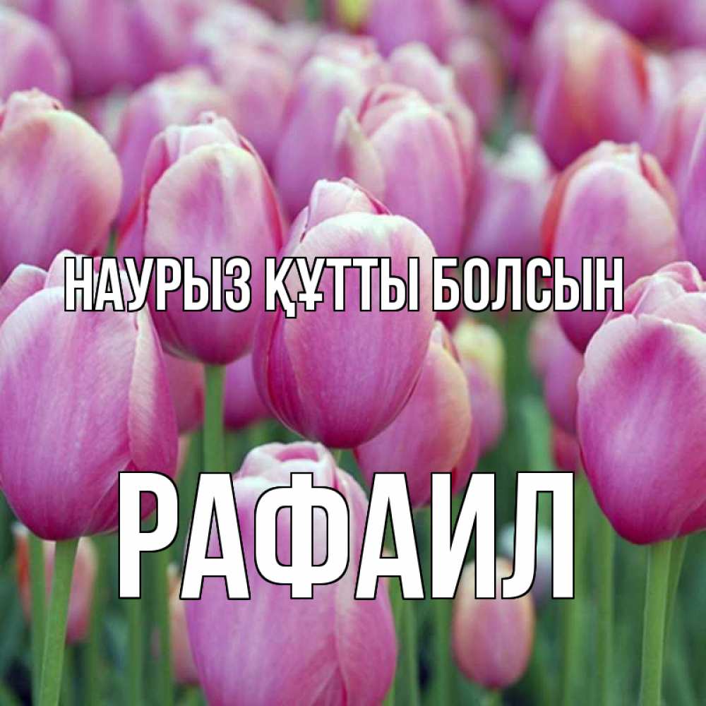 Күн сайын ашық хат с именем, Рафаил Наурыз құтты болсын на наурыз  день 3 Онлайн тегін жүктеп алу тілектері бар керемет карта 