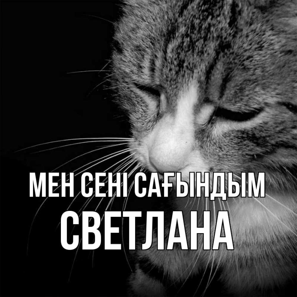 Күн сайын ашық хат с именем, Светлана Мен сені сағындым мне скучно Онлайн тегін жүктеп алу тілектері бар керемет карта 