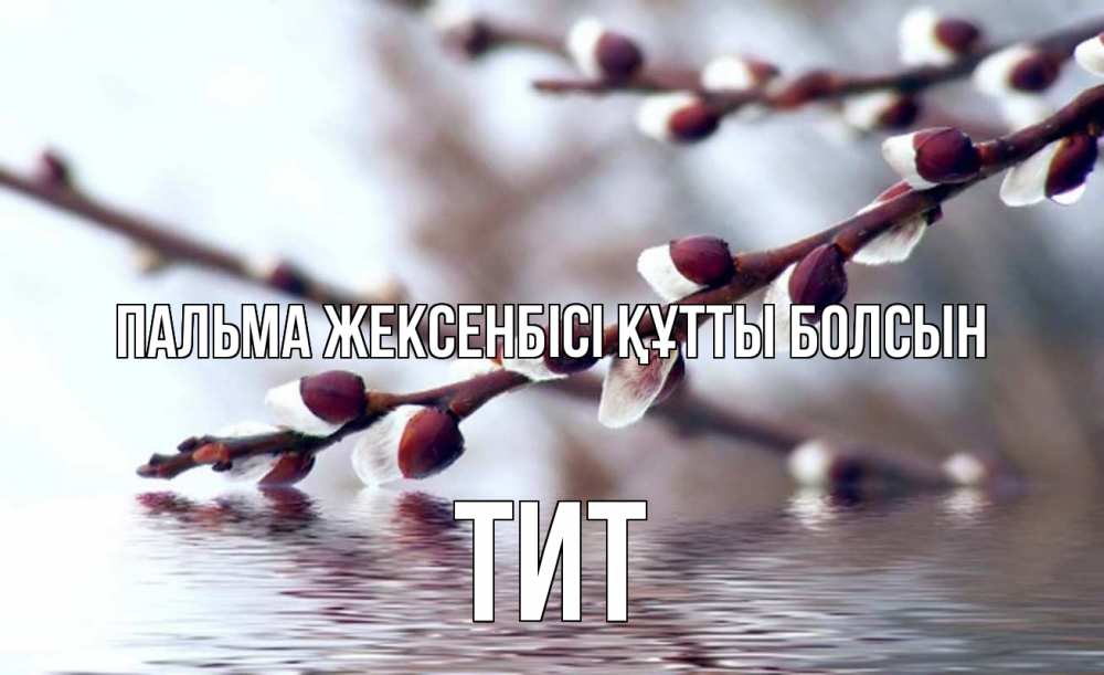 Күн сайын ашық хат с именем, Тит Пальма жексенбісі құтты болсын верба, ручей Онлайн тегін жүктеп алу тілектері бар керемет карта 