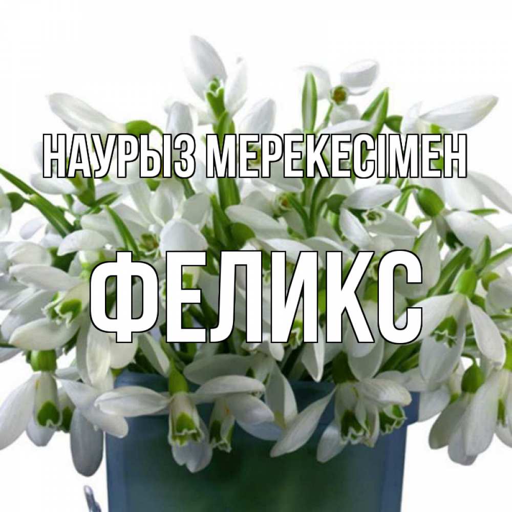 Күн сайын ашық хат с именем, Феликс Наурыз мерекесімен цветы к наурызу новый год в Казахстане Онлайн тегін жүктеп алу тілектері бар керемет карта 