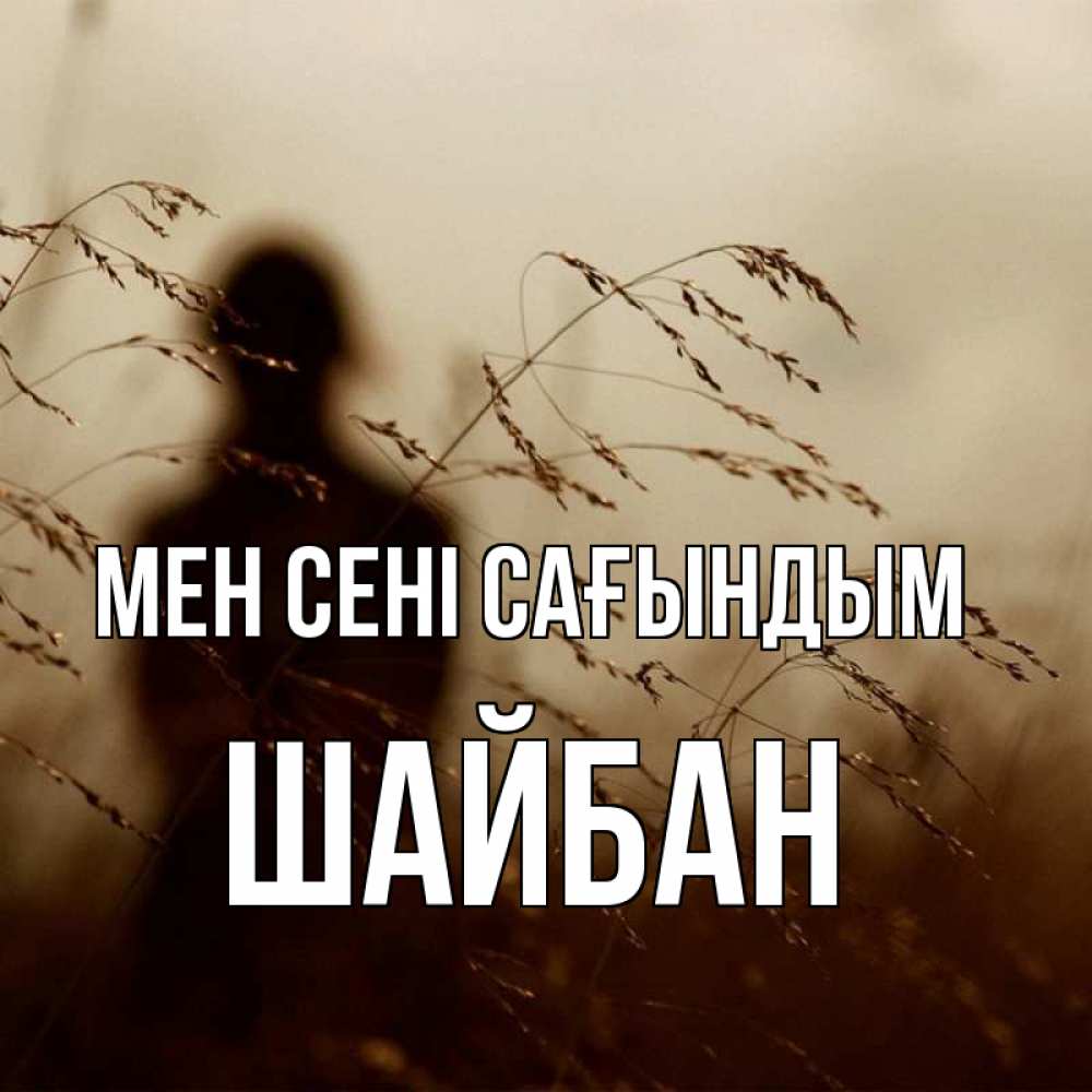 Күн сайын ашық хат с именем, ШАЙБАН Мен сені сағындым силуэт девушки Онлайн тегін жүктеп алу тілектері бар керемет карта 