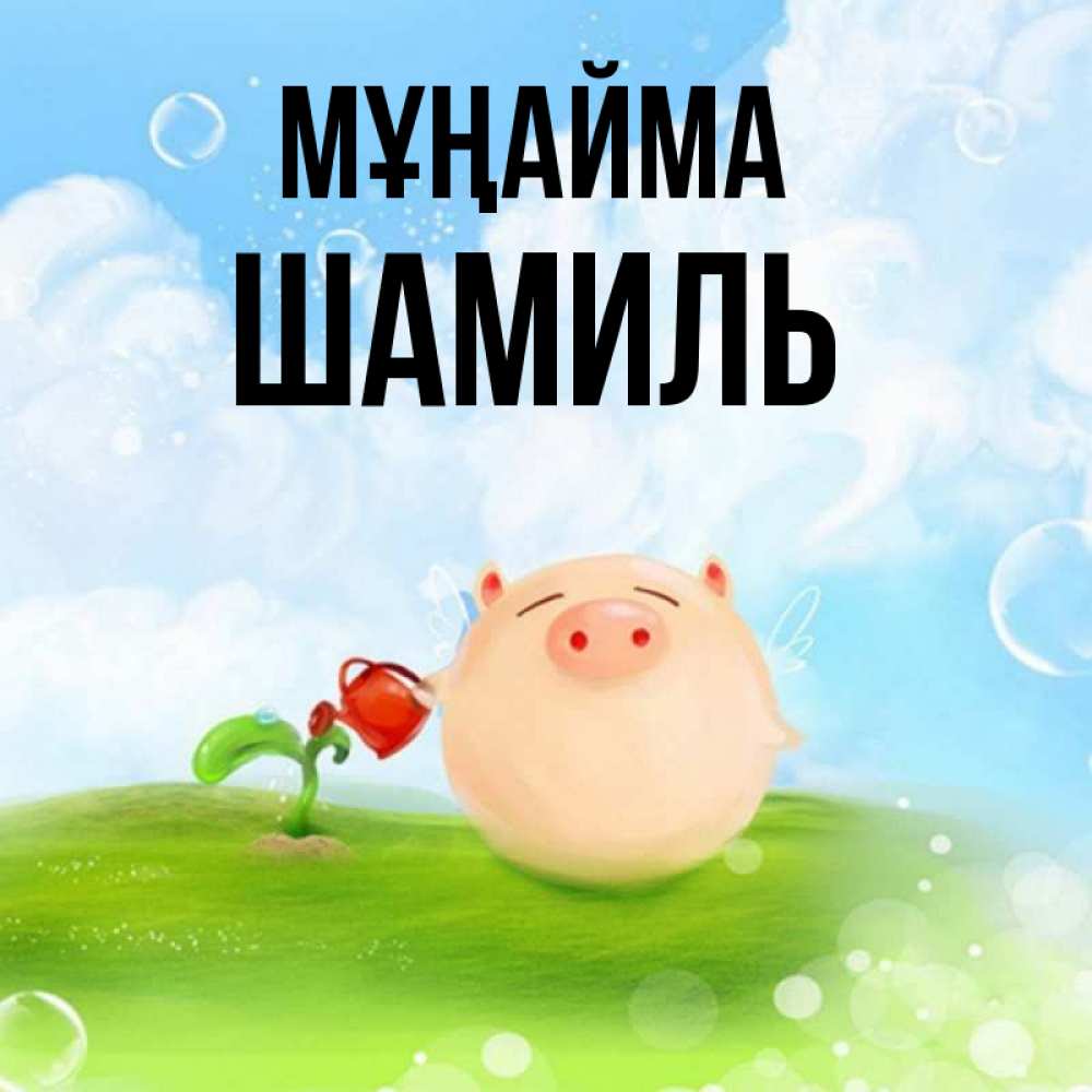 Күн сайын ашық хат с именем, Шамиль Мұңайма поливает цветок порося Онлайн тегін жүктеп алу тілектері бар керемет карта 
