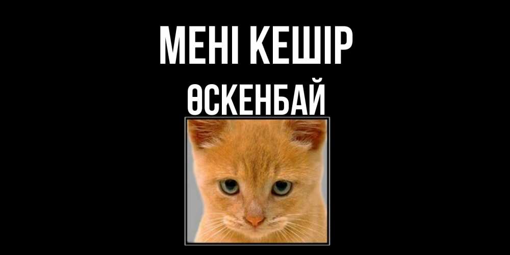 Күн сайын ашық хат с именем, ӨСКЕНБАЙ Мені кешір рыжий грустный кот просит прощения Онлайн тегін жүктеп алу тілектері бар керемет карта 
