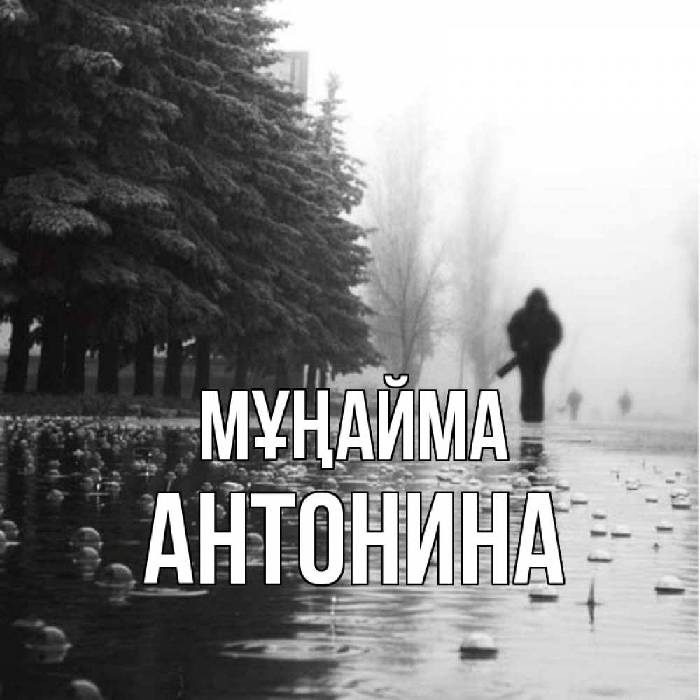 Күн сайын ашық хат с именем, Антонина Мұңайма улица под дождем Онлайн тегін жүктеп алу тілектері бар керемет карта 