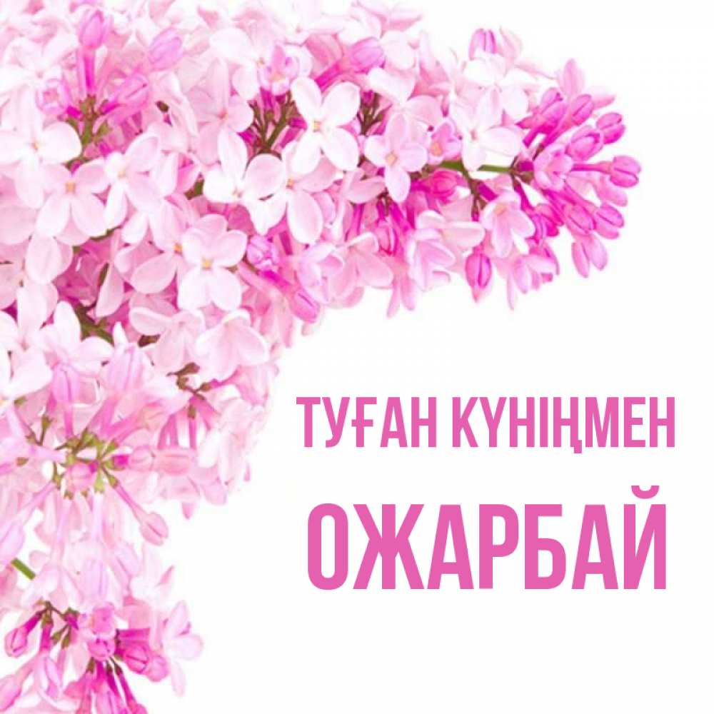 Күн сайын ашық хат с именем, ОЖАРБАЙ Туған күніңмен Сирень на белом фоне Онлайн тегін жүктеп алу тілектері бар керемет карта 