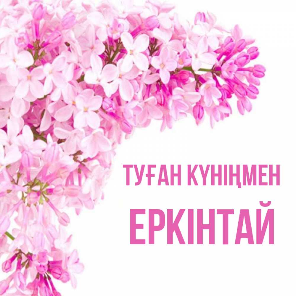 Күн сайын ашық хат с именем, Еркінтай Туған күніңмен Сирень на белом фоне Онлайн тегін жүктеп алу тілектері бар керемет карта 