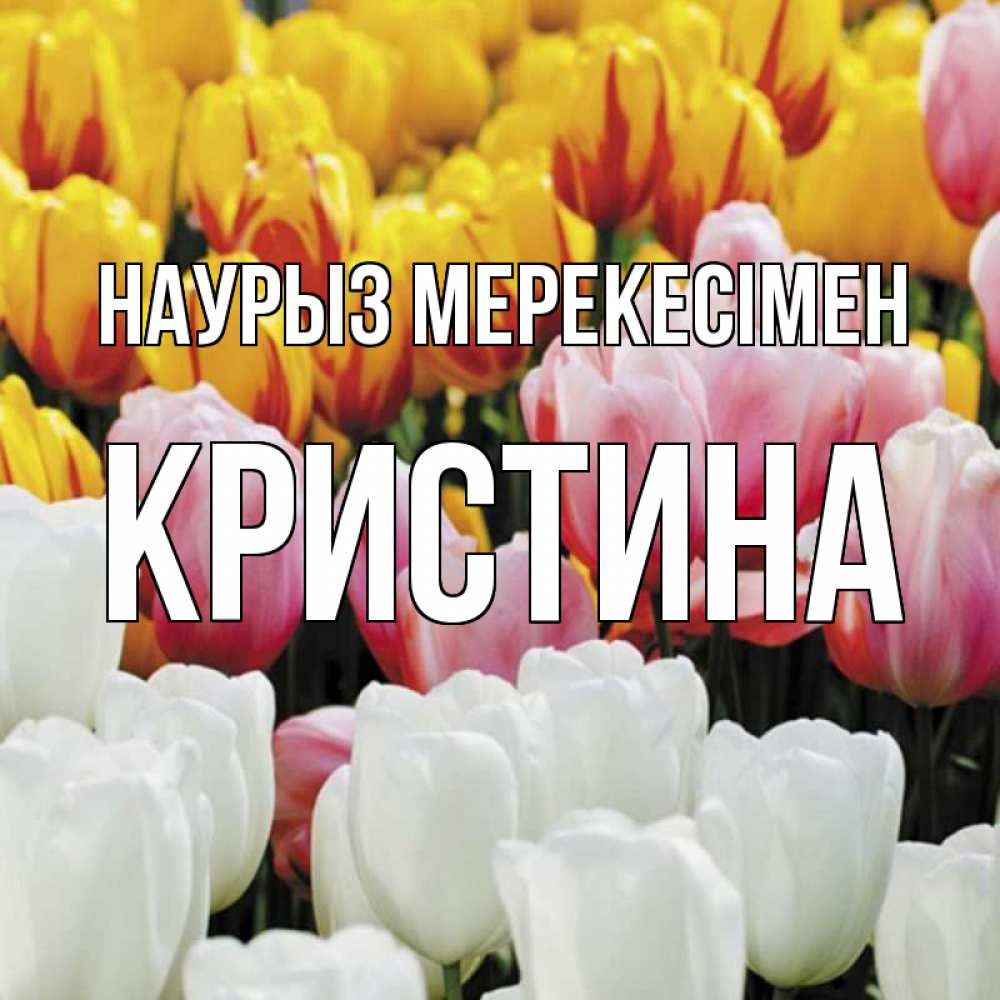 Күн сайын ашық хат с именем, Кристина Наурыз мерекесімен разноцветные цветы Онлайн тегін жүктеп алу тілектері бар керемет карта 