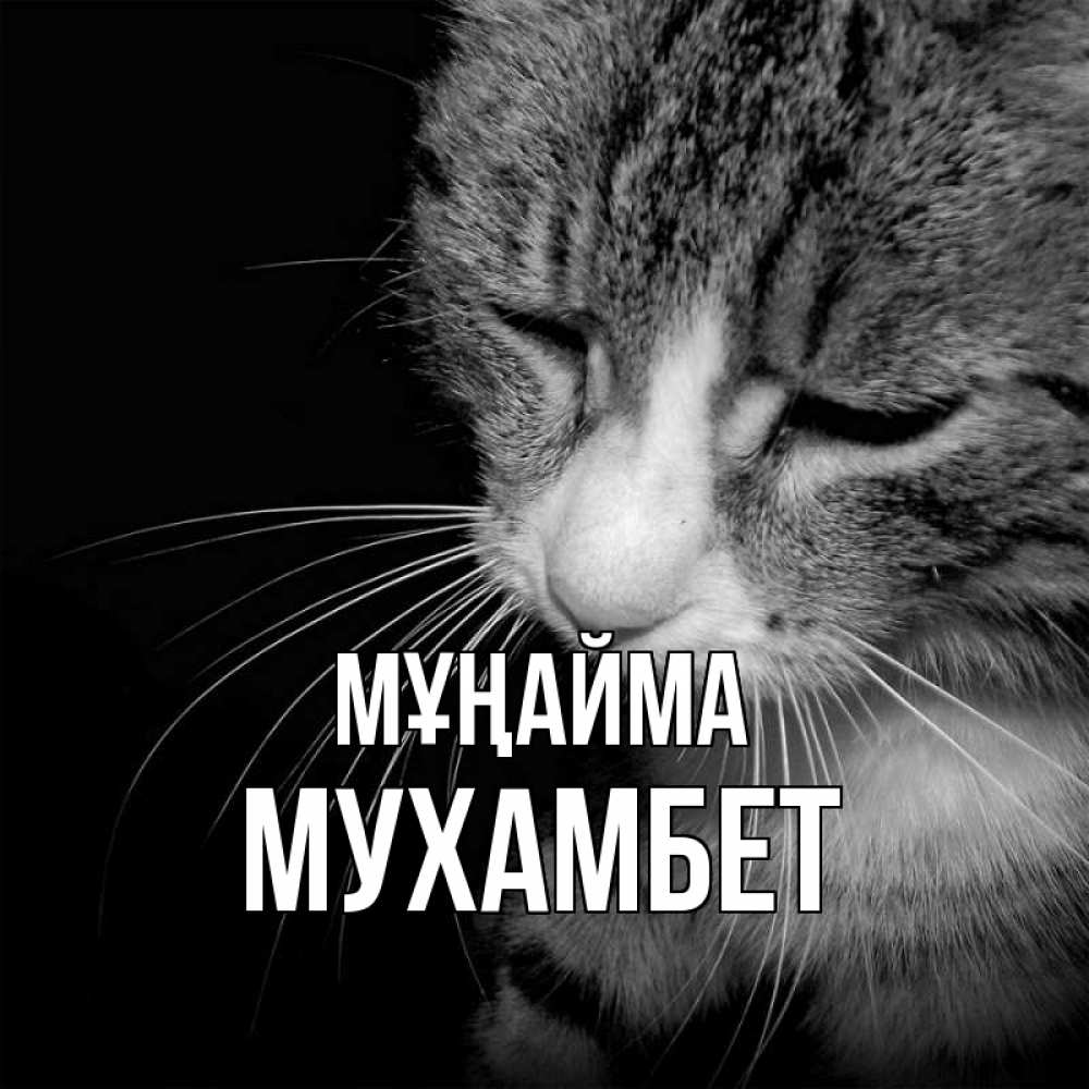 Күн сайын ашық хат с именем, МУХАМБЕТ Мұңайма грустный котик Онлайн тегін жүктеп алу тілектері бар керемет карта 