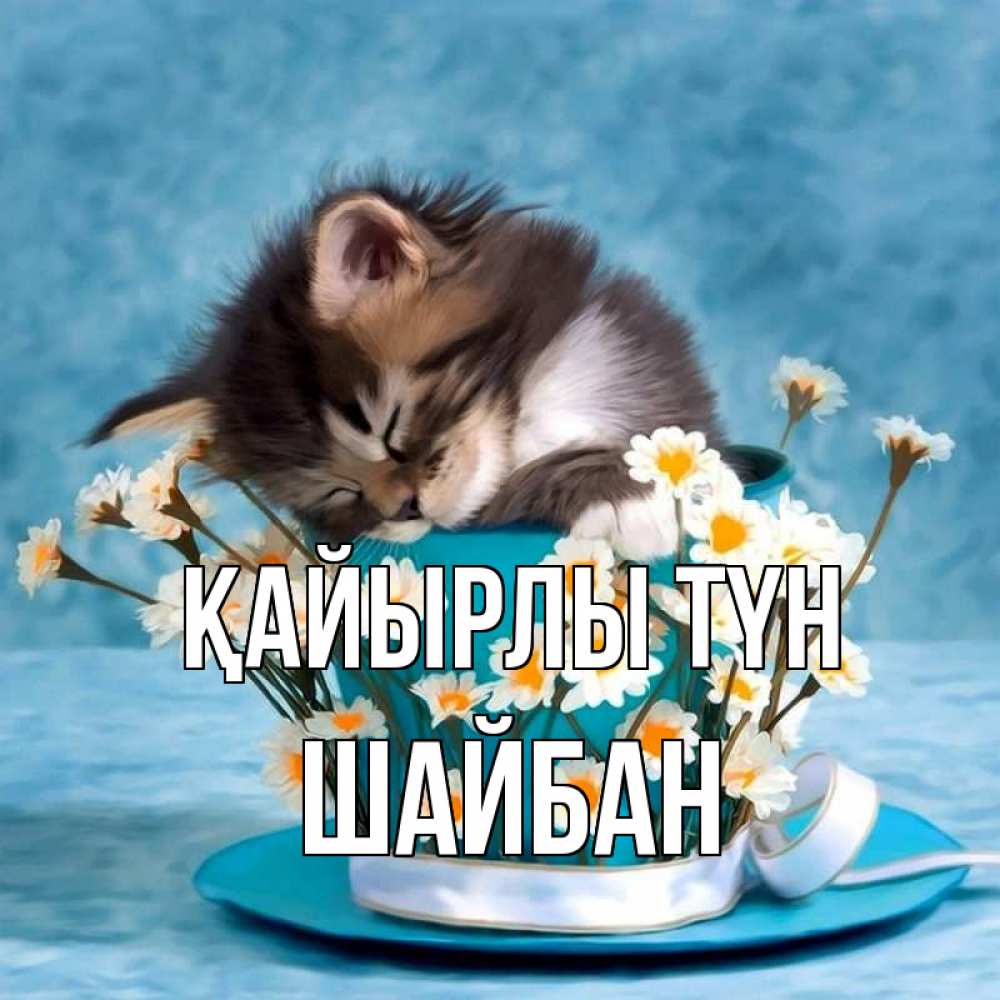 Күн сайын ашық хат с именем, ШАЙБАН Қайырлы түн котенок спит в кружке с блюдцем Онлайн тегін жүктеп алу тілектері бар керемет карта 
