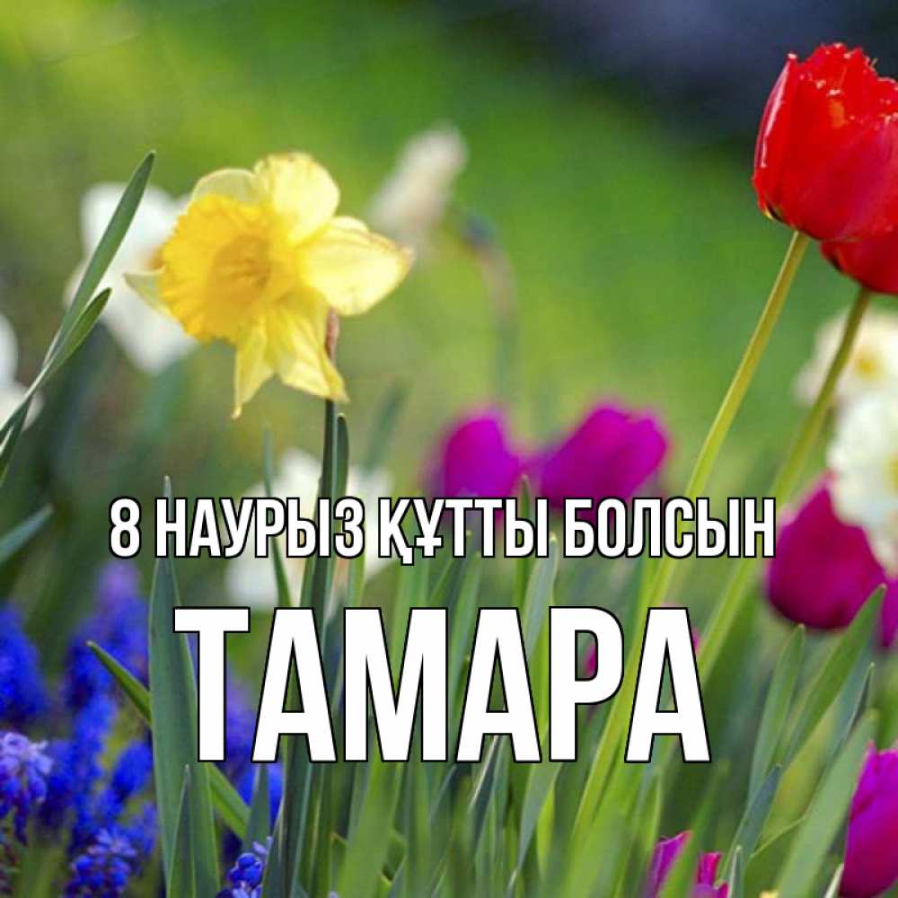 Күн сайын ашық хат с именем, ТАМАРА 8 наурыз құтты болсын международный женский день 3 Онлайн тегін жүктеп алу тілектері бар керемет карта 