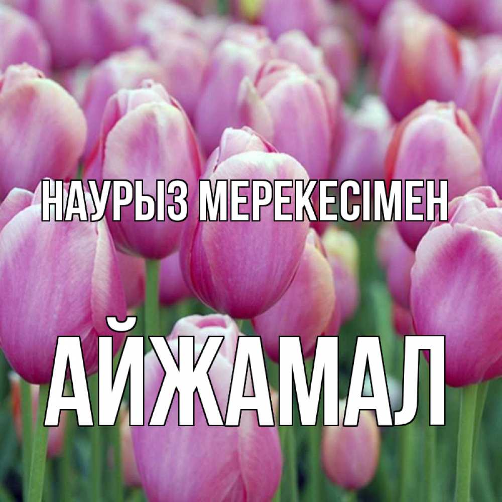 Күн сайын ашық хат с именем, АЙЖАМАЛ Наурыз мерекесімен праздник весны наурыз 69 Онлайн тегін жүктеп алу тілектері бар керемет карта 