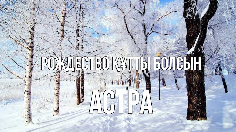 Күн сайын ашық хат с именем, Астра Рождество құтты болсын зимний лес Онлайн тегін жүктеп алу тілектері бар керемет карта 