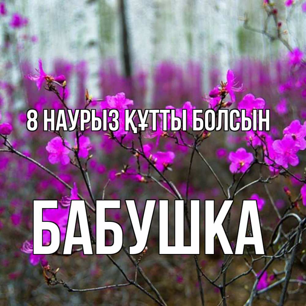 Күн сайын ашық хат с именем, Бабушка 8 наурыз құтты болсын дикие цветы Онлайн тегін жүктеп алу тілектері бар керемет карта 