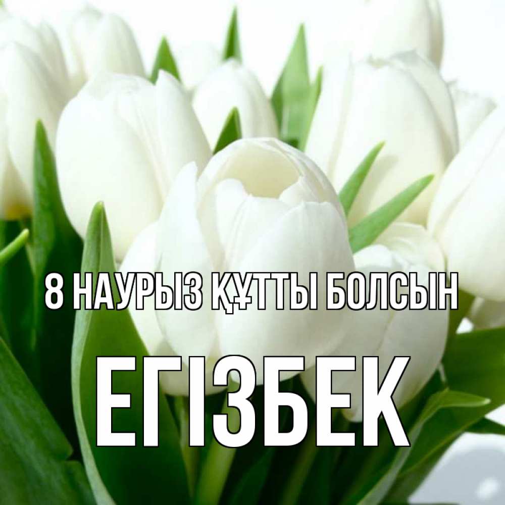 Күн сайын ашық хат с именем, Егізбек 8 наурыз құтты болсын цветы Онлайн тегін жүктеп алу тілектері бар керемет карта 