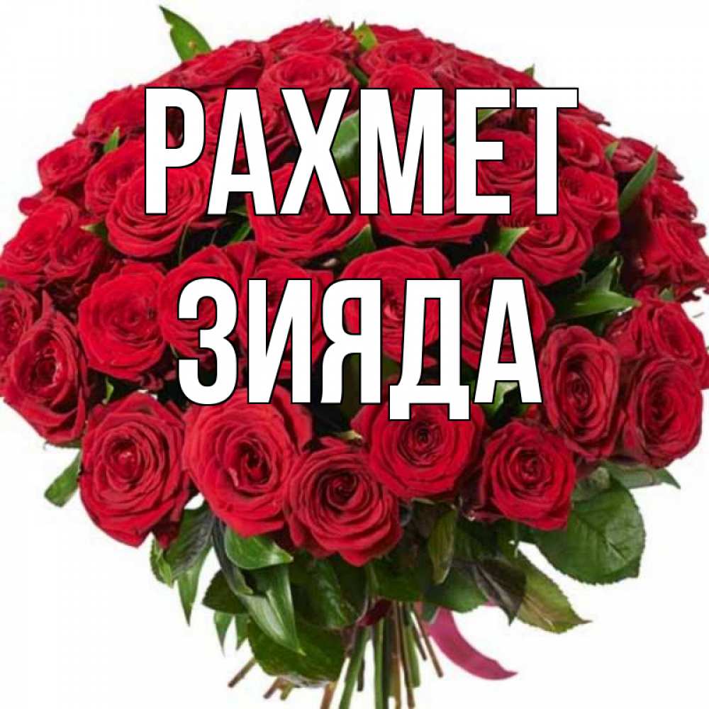 Күн сайын ашық хат с именем, ЗИЯДА рахмет букет красных роз Онлайн тегін жүктеп алу тілектері бар керемет карта 