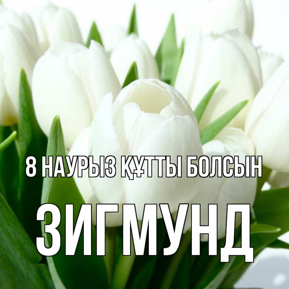 Күн сайын ашық хат с именем, Зигмунд 8 наурыз құтты болсын цветы Онлайн тегін жүктеп алу тілектері бар керемет карта 