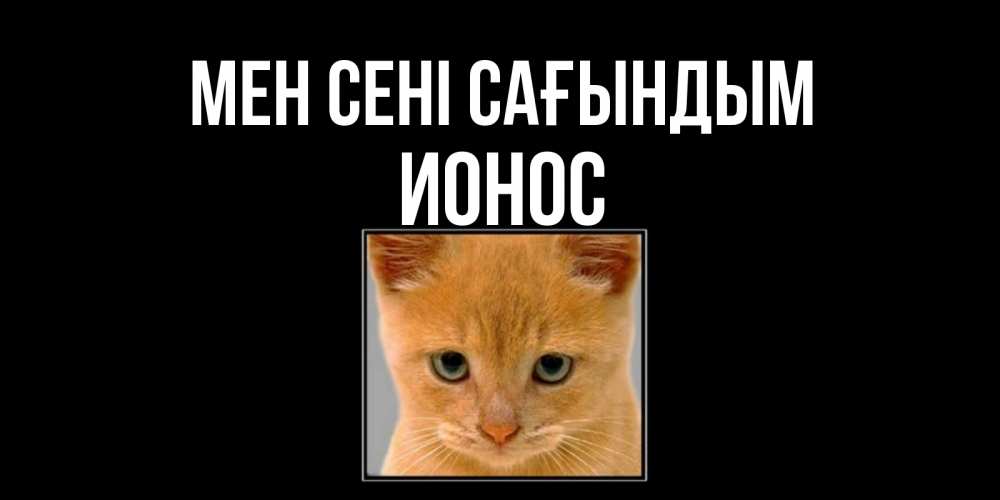 Күн сайын ашық хат с именем, Ионос Мен сені сағындым открытки рыжий котенок скучает по тебе Онлайн тегін жүктеп алу тілектері бар керемет карта 