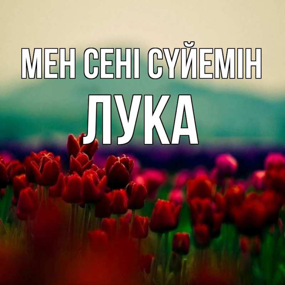 Күн сайын ашық хат с именем, Лука Мен сені сүйемін тюльпаны 4 Онлайн тегін жүктеп алу тілектері бар керемет карта 