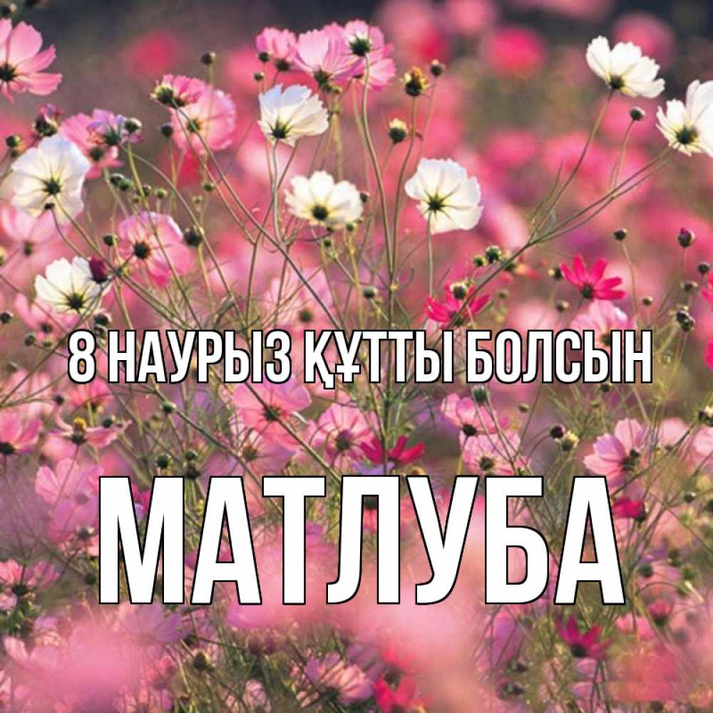 Күн сайын ашық хат с именем, МАТЛУБА 8 наурыз құтты болсын красиво 1 Онлайн тегін жүктеп алу тілектері бар керемет карта 