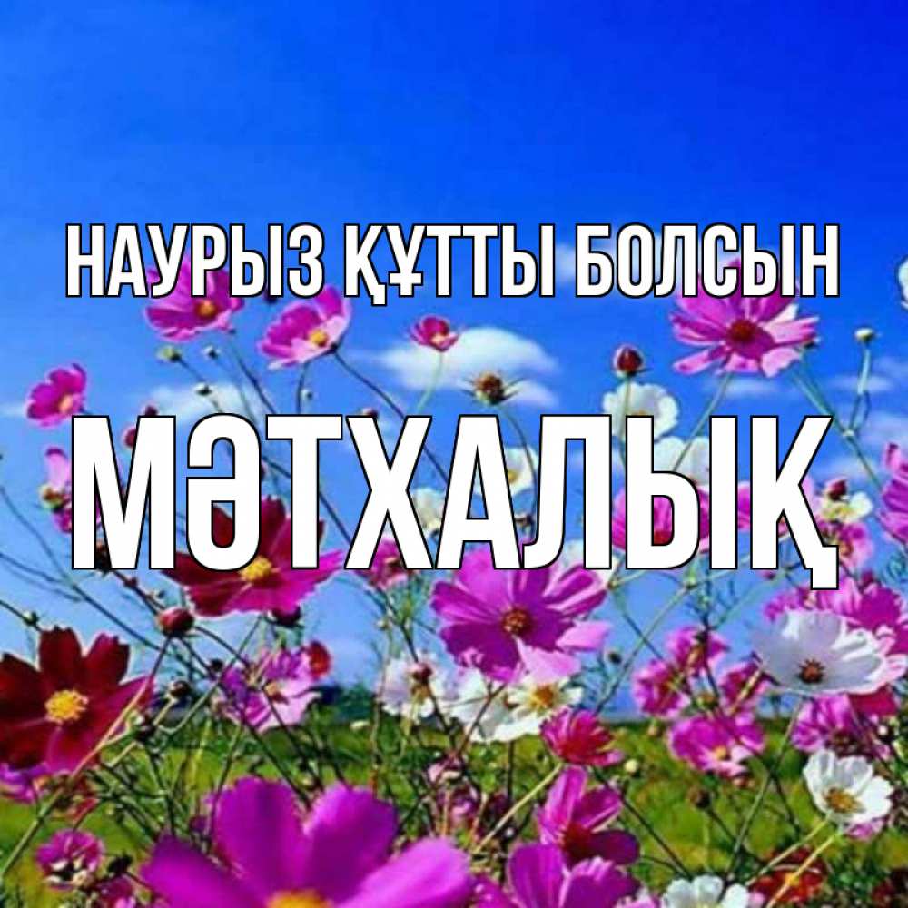 Күн сайын ашық хат с именем, МӘТХАЛЫҚ Наурыз құтты болсын цветы Онлайн тегін жүктеп алу тілектері бар керемет карта 