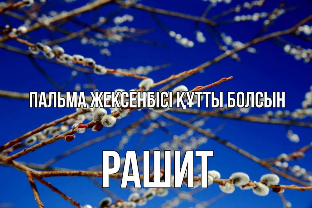 Күн сайын ашық хат с именем, РАШИТ Пальма жексенбісі құтты болсын верба Онлайн тегін жүктеп алу тілектері бар керемет карта 