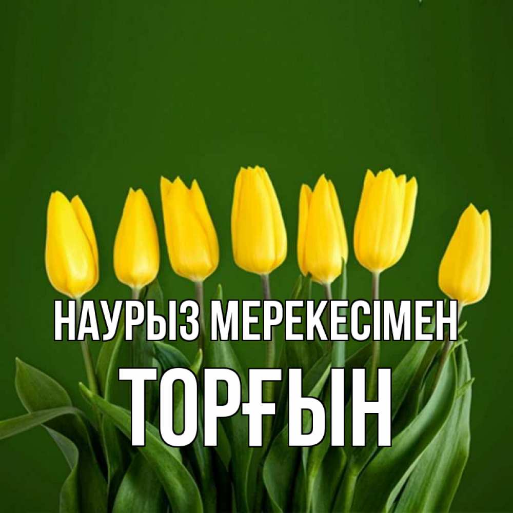 Күн сайын ашық хат с именем, ТОРҒЫН Наурыз мерекесімен желтого цвета 3 Онлайн тегін жүктеп алу тілектері бар керемет карта 