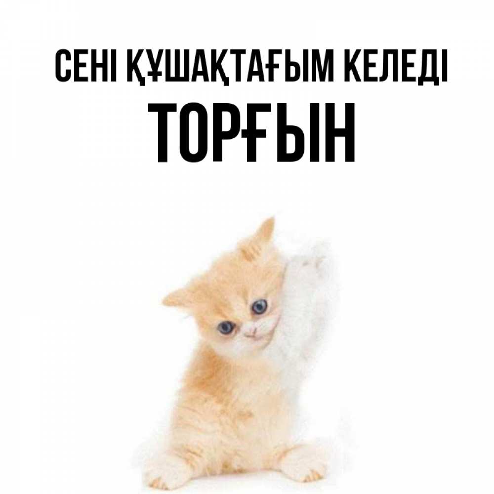Күн сайын ашық хат с именем, ТОРҒЫН сені құшақтағым келеді я хочу очень скорее обнимаешек Онлайн тегін жүктеп алу тілектері бар керемет карта 