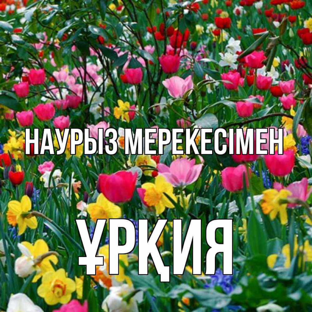 Күн сайын ашық хат с именем, ҰРҚИЯ Наурыз мерекесімен с наурызом праздником весны поздравления для женщины Онлайн тегін жүктеп алу тілектері бар керемет карта 