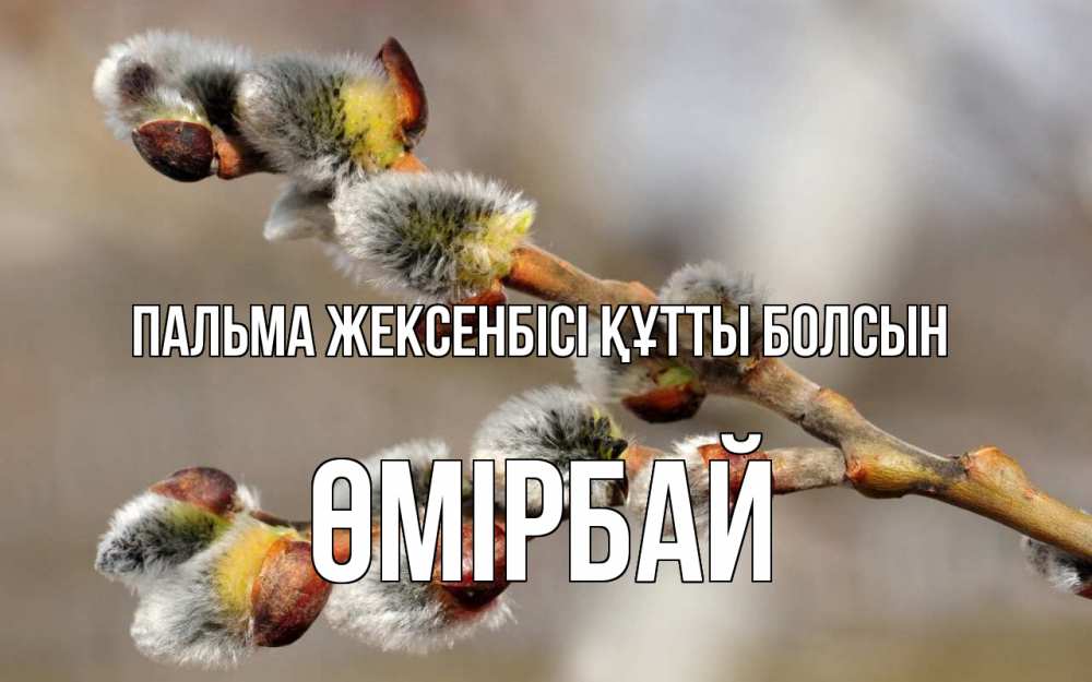Күн сайын ашық хат с именем, ӨМІРБАЙ Пальма жексенбісі құтты болсын Верба Онлайн тегін жүктеп алу тілектері бар керемет карта 