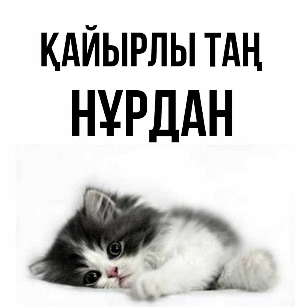Күн сайын ашық хат с именем, НҰРДАН Қайырлы таң кот лапки Онлайн тегін жүктеп алу тілектері бар керемет карта 