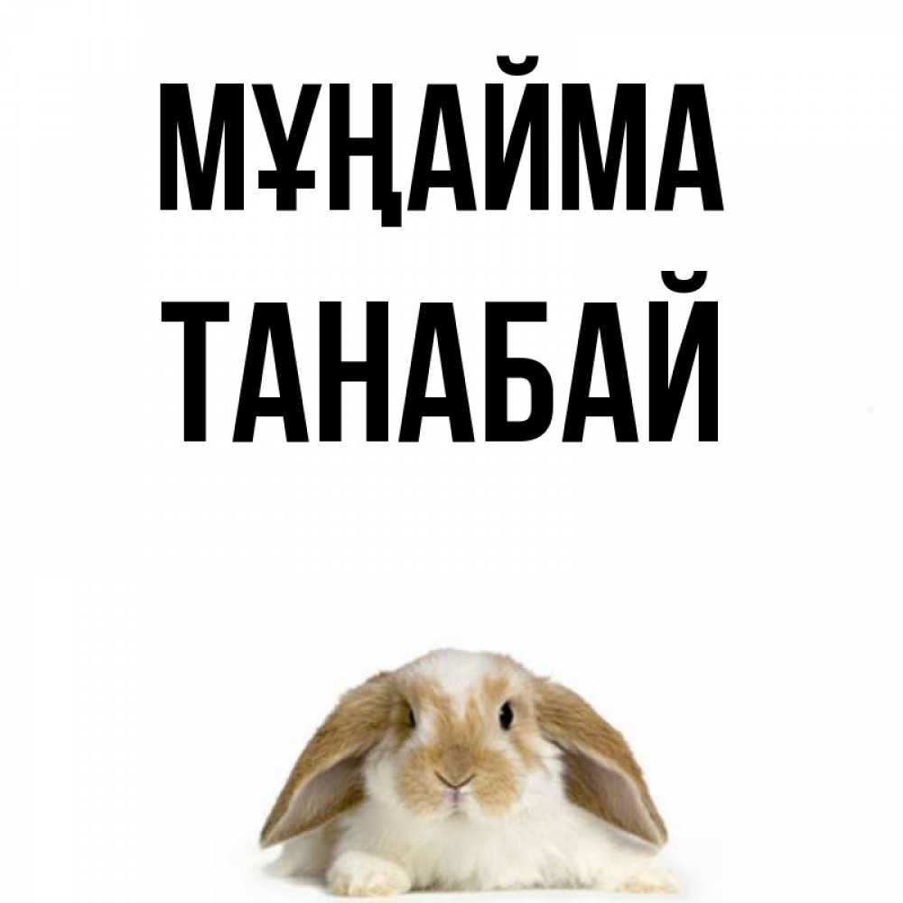 Күн сайын ашық хат с именем, ТАНАБАЙ Мұңайма коричнево белый заяц с большими ушками Онлайн тегін жүктеп алу тілектері бар керемет карта 
