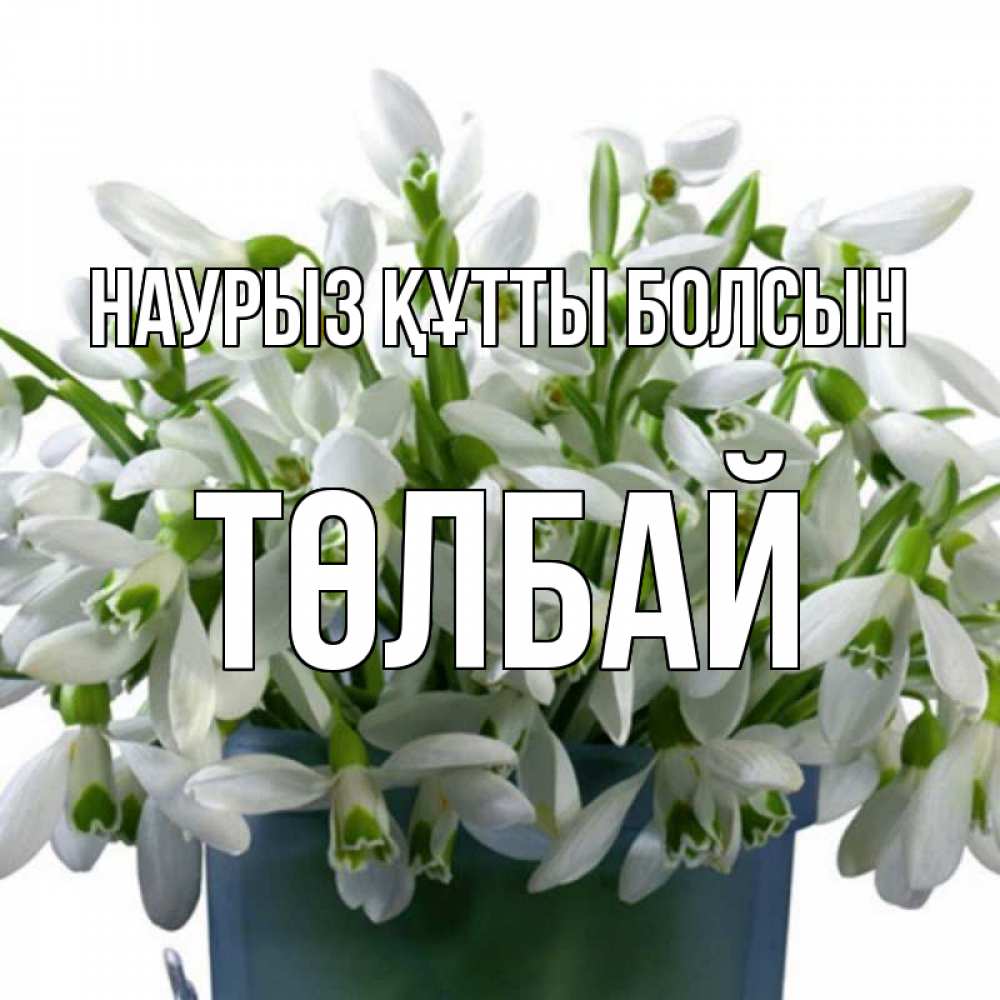 Күн сайын ашық хат с именем, ТӨЛБАЙ Наурыз құтты болсын цветы к наурызу Онлайн тегін жүктеп алу тілектері бар керемет карта 