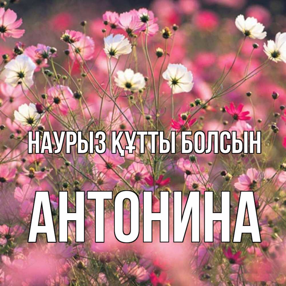 Күн сайын ашық хат с именем, Антонина Наурыз құтты болсын красиво 1 Онлайн тегін жүктеп алу тілектері бар керемет карта 