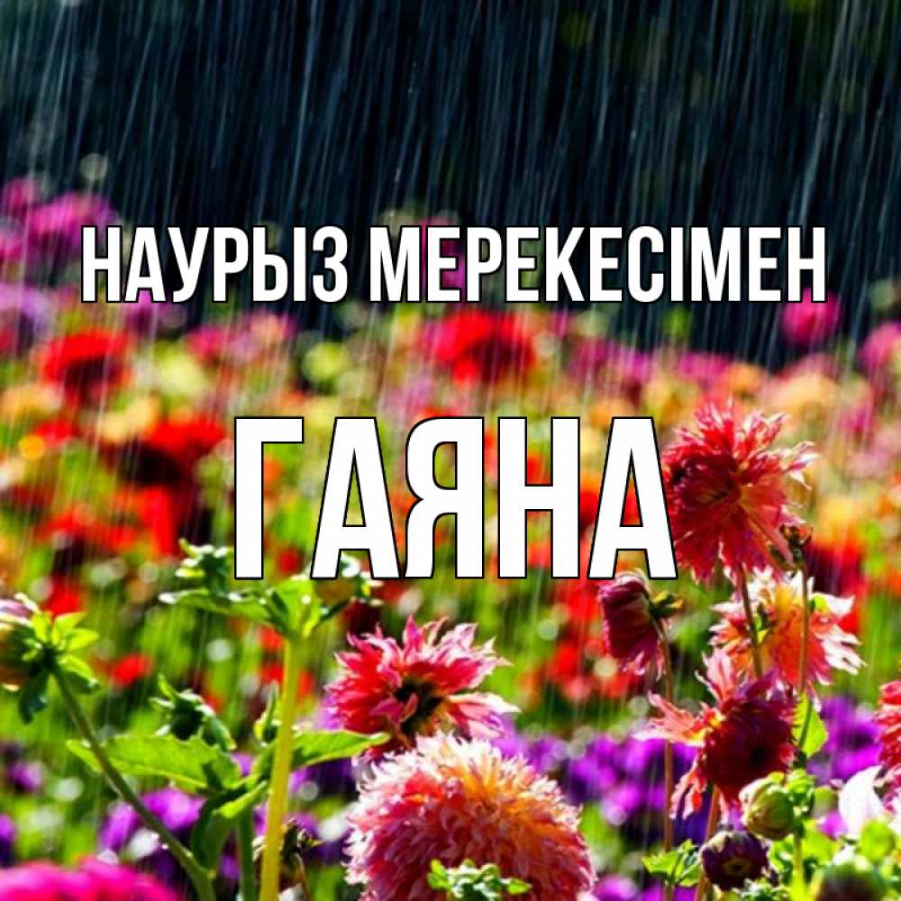 Күн сайын ашық хат с именем, ГАЯНА Наурыз мерекесімен цветы под дождиком к международному женскому дню Онлайн тегін жүктеп алу тілектері бар керемет карта 