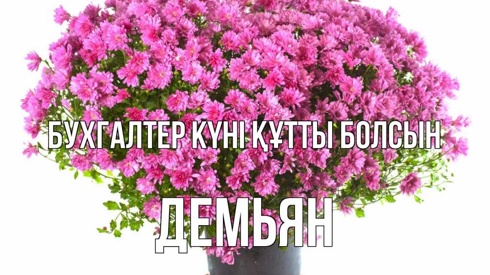 Күн сайын ашық хат с именем, Демьян бухгалтер күні құтты болсын с днем бухгалтера Онлайн тегін жүктеп алу тілектері бар керемет карта 