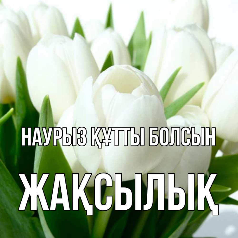 Күн сайын ашық хат с именем, Жақсылық Наурыз құтты болсын цветы Онлайн тегін жүктеп алу тілектері бар керемет карта 