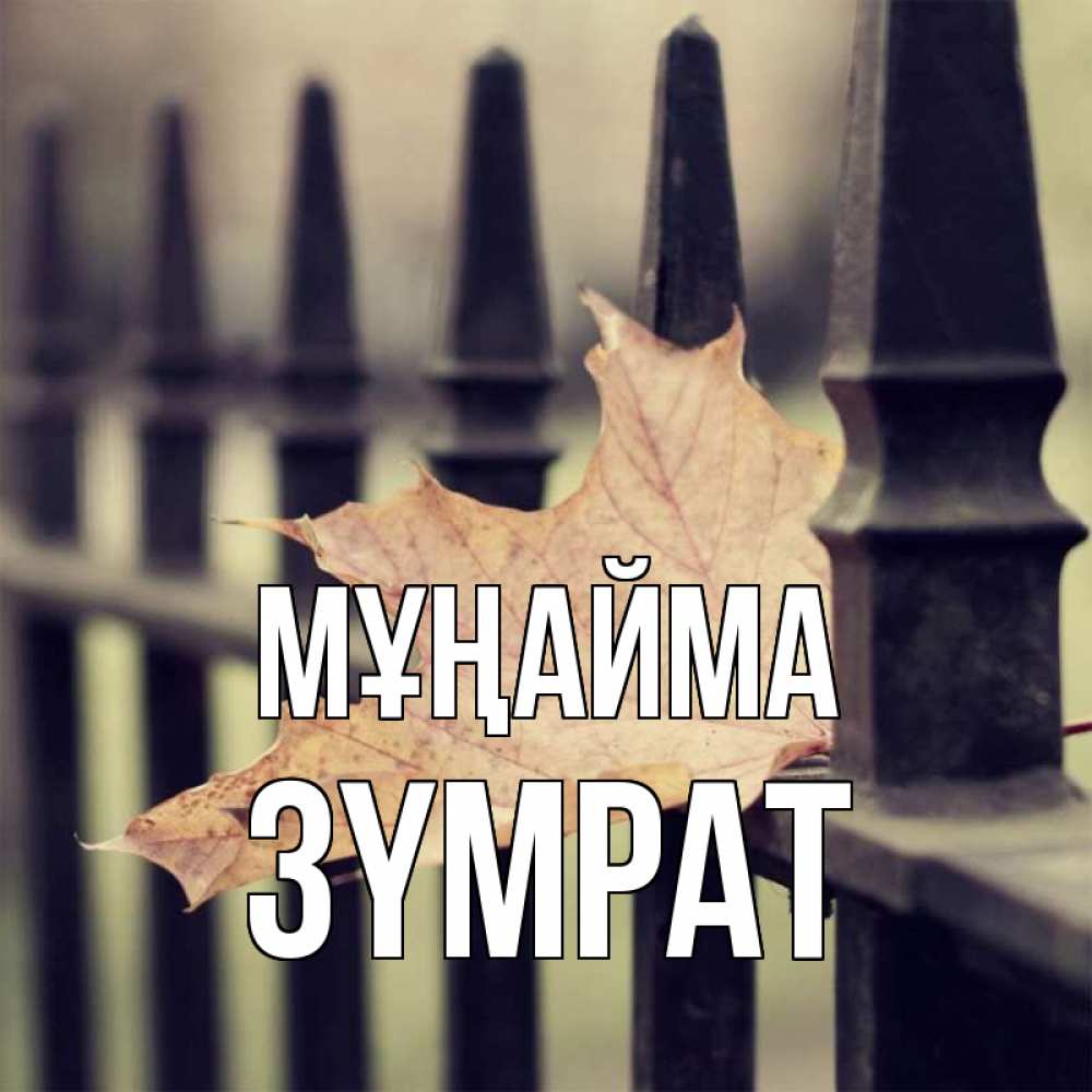Күн сайын ашық хат с именем, ЗҮМРАТ Мұңайма лист клена Онлайн тегін жүктеп алу тілектері бар керемет карта 