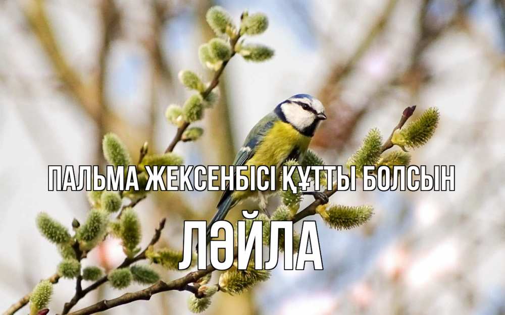 Күн сайын ашық хат с именем, ЛӘЙЛА Пальма жексенбісі құтты болсын верба Онлайн тегін жүктеп алу тілектері бар керемет карта 