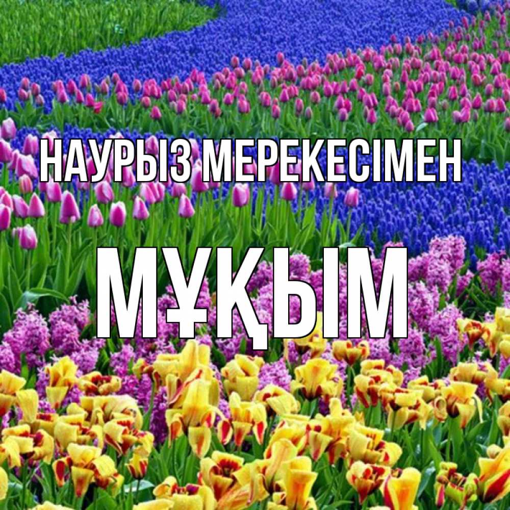 Күн сайын ашық хат с именем, МҰҚЫМ Наурыз мерекесімен цветы Онлайн тегін жүктеп алу тілектері бар керемет карта 