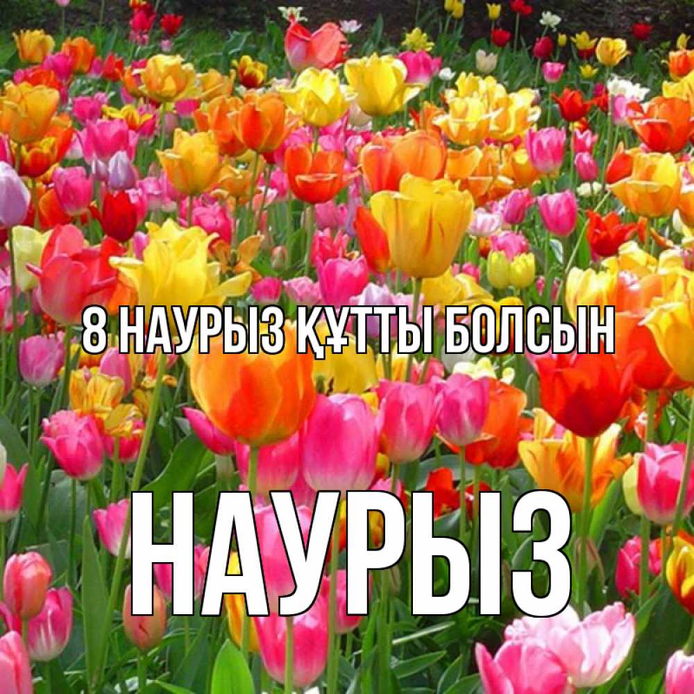 Күн сайын ашық хат с именем, НАУРЫЗ 8 наурыз құтты болсын на международный женский день Онлайн тегін жүктеп алу тілектері бар керемет карта 