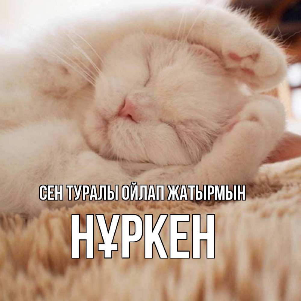 Күн сайын ашық хат с именем, Нұркен Сен туралы ойлап жатырмын для любимой девушки милота Онлайн тегін жүктеп алу тілектері бар керемет карта 