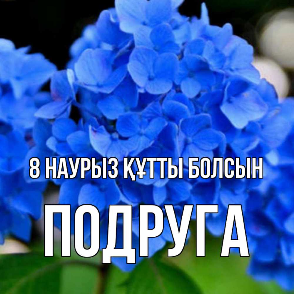 Күн сайын ашық хат с именем, Подруга 8 наурыз құтты болсын синие цветы Онлайн тегін жүктеп алу тілектері бар керемет карта 