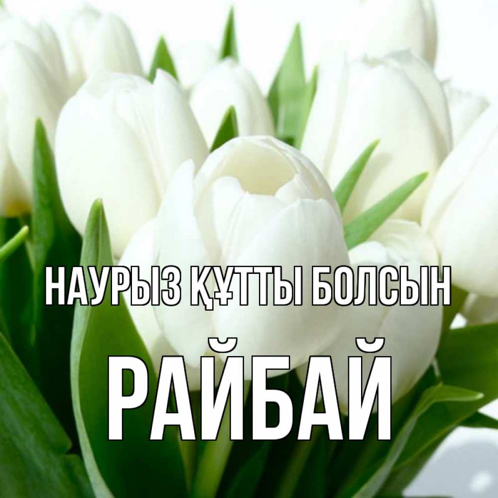 Күн сайын ашық хат с именем, РАЙБАЙ Наурыз құтты болсын цветы Онлайн тегін жүктеп алу тілектері бар керемет карта 
