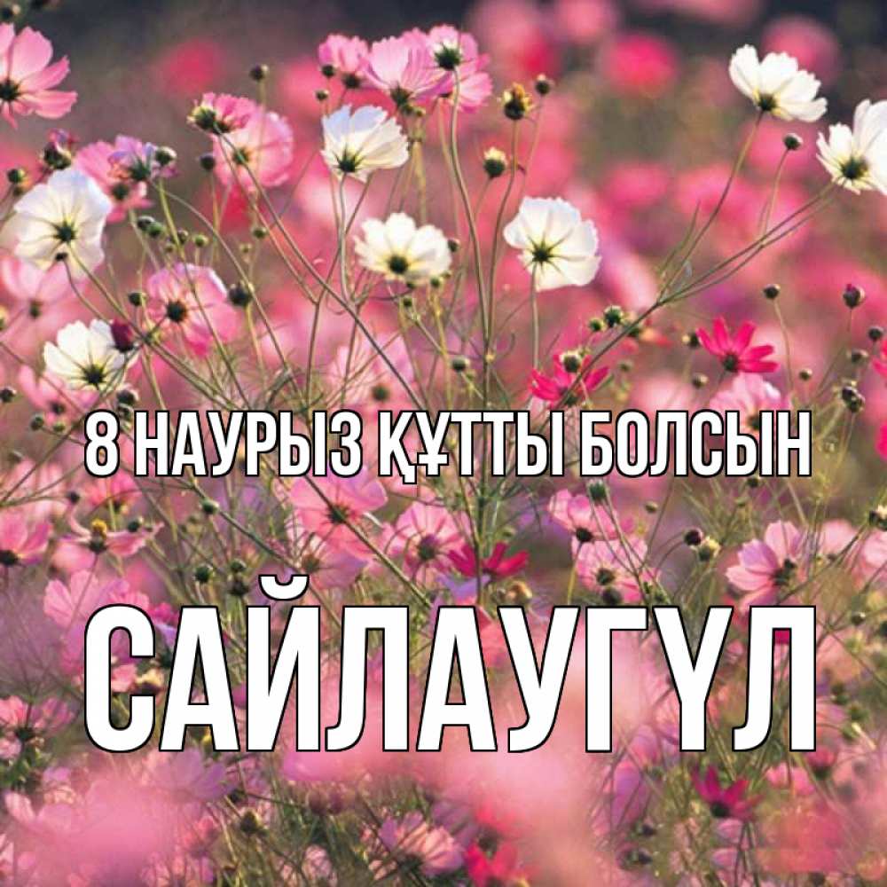 Күн сайын ашық хат с именем, САЙЛАУГҮЛ 8 наурыз құтты болсын красиво 1 Онлайн тегін жүктеп алу тілектері бар керемет карта 