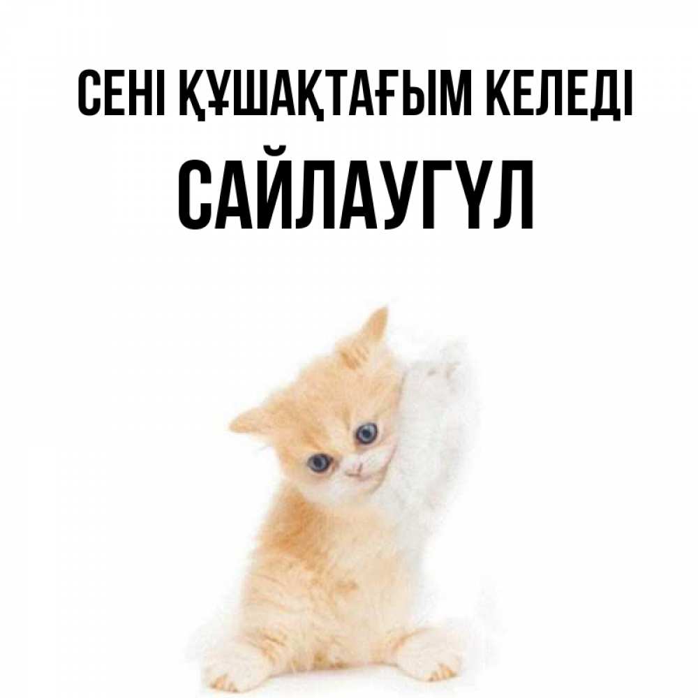 Күн сайын ашық хат с именем, САЙЛАУГҮЛ сені құшақтағым келеді я хочу очень скорее обнимаешек Онлайн тегін жүктеп алу тілектері бар керемет карта 