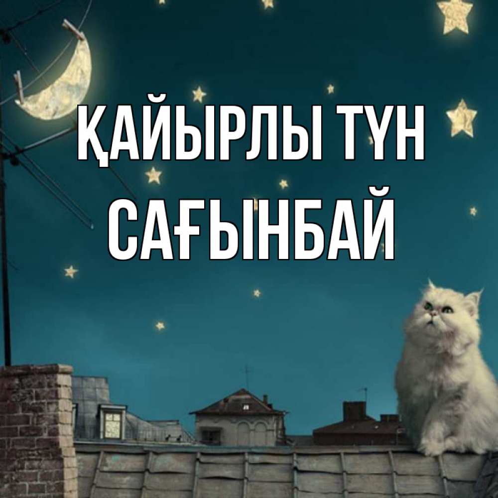 Күн сайын ашық хат с именем, Сағынбай Қайырлы түн белый кот сидит на крыше Онлайн тегін жүктеп алу тілектері бар керемет карта 