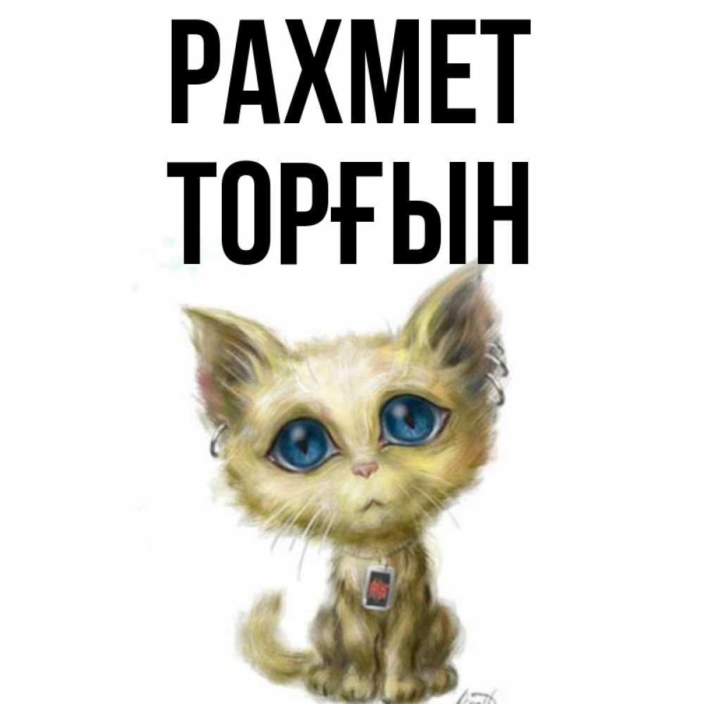 Күн сайын ашық хат с именем, ТОРҒЫН рахмет рисованный кот благодарит вас Онлайн тегін жүктеп алу тілектері бар керемет карта 