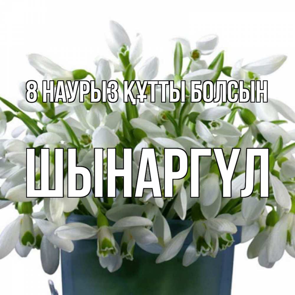 Күн сайын ашық хат с именем, ШЫНАРГҮЛ 8 наурыз құтты болсын цветы к международному женскому дню Онлайн тегін жүктеп алу тілектері бар керемет карта 